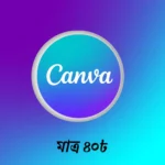 canva pro